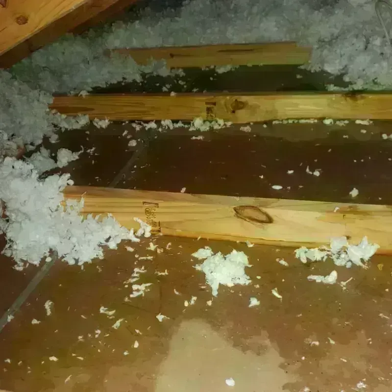 Attic Water Damage in Carolina Shores, NC